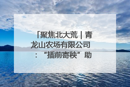 聚焦北大荒｜青龙山农场有限公司：“插前寄秧”助力农业节本增效