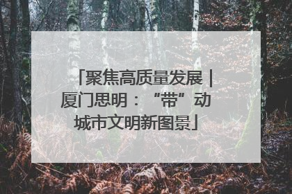 聚焦高质量发展｜厦门思明：“带”动城市文明新图景