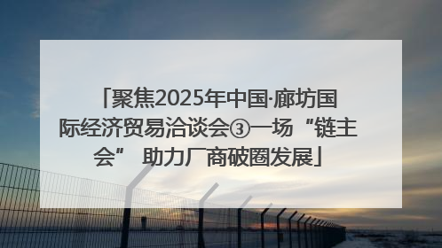聚焦2025年中国·廊坊国际经济贸易洽谈会③一场“链主会” 助力厂商破圈发展