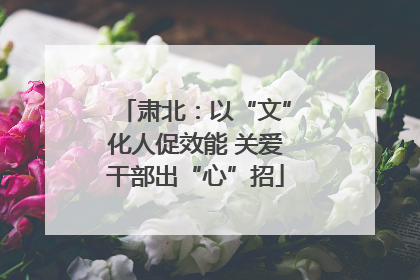 肃北：以“文”化人促效能 关爱干部出“心”招