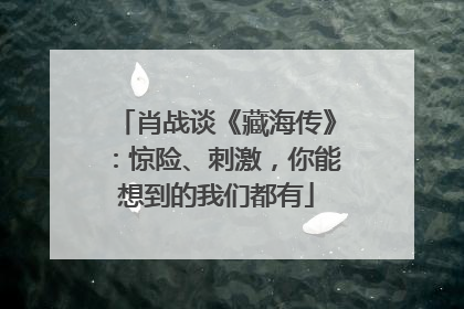 肖战谈《藏海传》：惊险、刺激，你能想到的我们都有