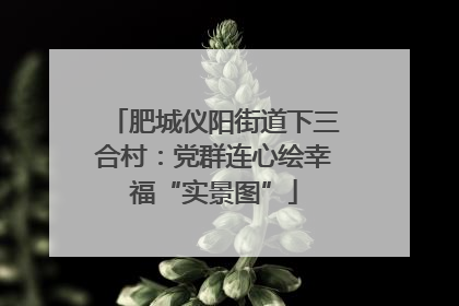 肥城仪阳街道下三合村：党群连心绘幸福“实景图”