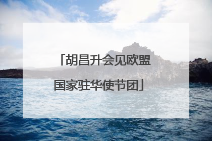 胡昌升会见欧盟国家驻华使节团