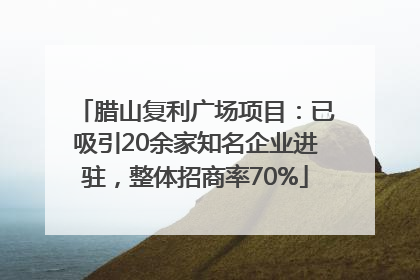 腊山复利广场项目：已吸引20余家知名企业进驻，整体招商率70%