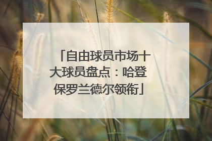 自由球员市场十大球员盘点：哈登保罗兰德尔领衔