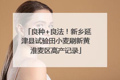 良种+良法！新乡延津县试验田小麦刷新黄淮麦区高产记录