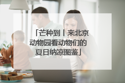 芒种到丨来北京动物园看动物们的夏日纳凉图鉴