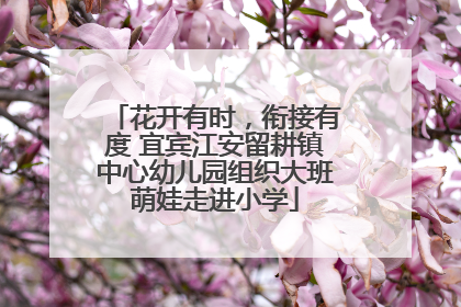 花开有时，衔接有度 宜宾江安留耕镇中心幼儿园组织大班萌娃走进小学