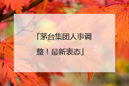 茅台集团人事调整！最新表态