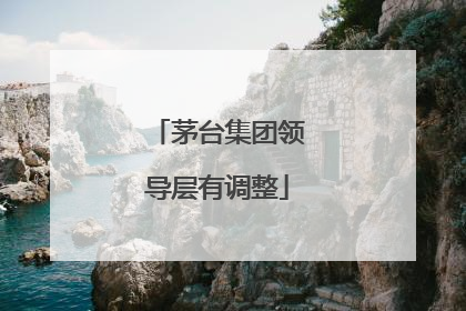 茅台集团领导层有调整