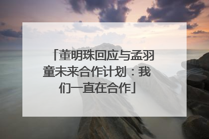 董明珠回应与孟羽童未来合作计划：我们一直在合作