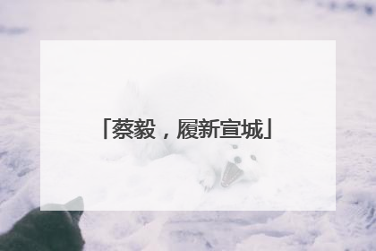 蔡毅，履新宣城