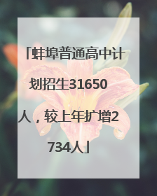 蚌埠普通高中计划招生31650人，较上年扩增2734人