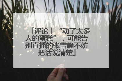 评论丨“动了太多人的蛋糕”，可能告别直播的张雪峰不妨把话说清楚