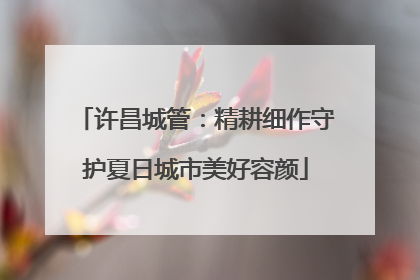 许昌城管：精耕细作守护夏日城市美好容颜