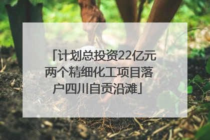 计划总投资22亿元 两个精细化工项目落户四川自贡沿滩