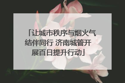 让城市秩序与烟火气结伴同行 济南城管开展百日提升行动