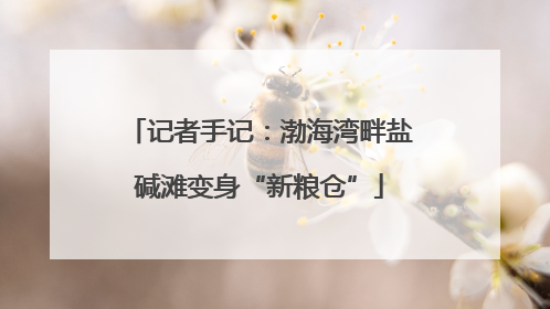 记者手记：渤海湾畔盐碱滩变身“新粮仓”