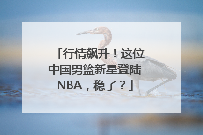 行情飙升！这位中国男篮新星登陆NBA，稳了？