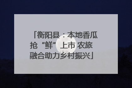 衡阳县：本地香瓜抢“鲜”上市 农旅融合助力乡村振兴
