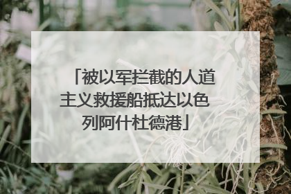 被以军拦截的人道主义救援船抵达以色列阿什杜德港