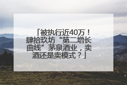 被执行近40万！肆拾玖坊“第二增长曲线”茅泉酒业，卖酒还是卖模式？