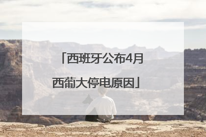 西班牙公布4月西葡大停电原因
