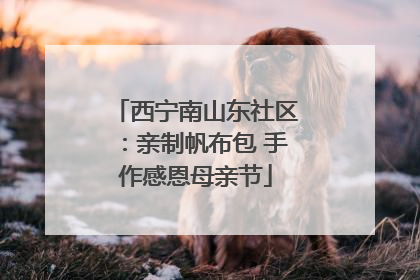 西宁南山东社区：亲制帆布包 手作感恩母亲节