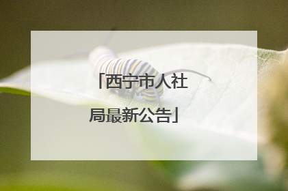 西宁市人社局最新公告