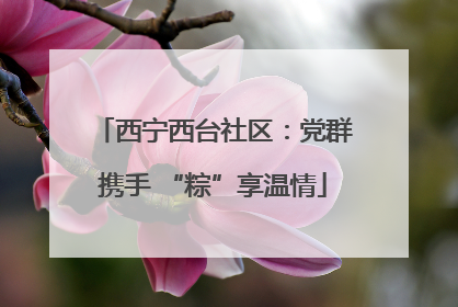 西宁西台社区：党群携手 “粽”享温情