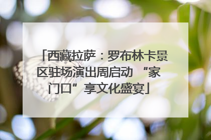 西藏拉萨：罗布林卡景区驻场演出周启动 “家门口”享文化盛宴