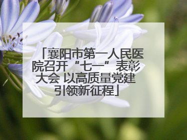 襄阳市第一人民医院召开“七一”表彰大会 以高质量党建引领新征程