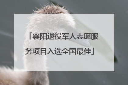 襄阳退役军人志愿服务项目入选全国最佳