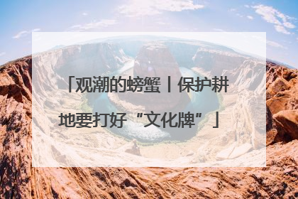 观潮的螃蟹丨保护耕地要打好“文化牌”