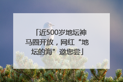 近500岁地坛神马圈开放，网红“地坛的海”邀您尝