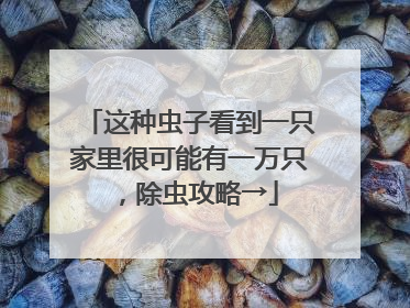 这种虫子看到一只家里很可能有一万只，除虫攻略→