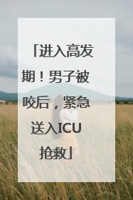 进入高发期！男子被咬后，紧急送入ICU抢救