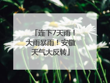 连下7天雨！大雨暴雨！安徽天气大反转