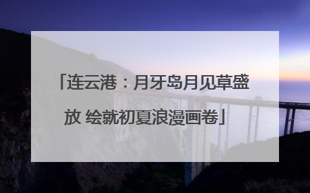 连云港：月牙岛月见草盛放 绘就初夏浪漫画卷
