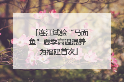 连江试验“马面鱼”夏季高温混养 为福建首次