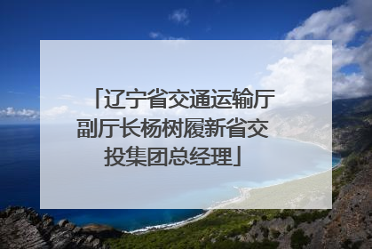 辽宁省交通运输厅副厅长杨树履新省交投集团总经理