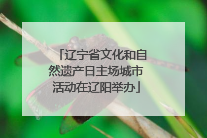 辽宁省文化和自然遗产日主场城市活动在辽阳举办
