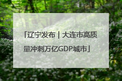 辽宁发布｜大连市高质量冲刺万亿GDP城市