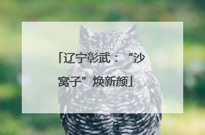 辽宁彰武：“沙窝子”焕新颜