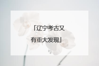 辽宁考古又有重大发现