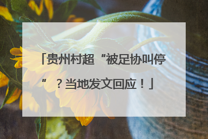 贵州村超“被足协叫停”？当地发文回应！