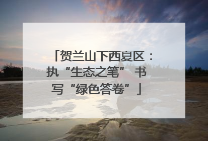 贺兰山下西夏区：执“生态之笔” 书写“绿色答卷”