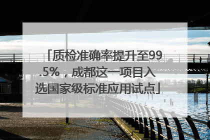 质检准确率提升至99.5%，成都这一项目入选国家级标准应用试点