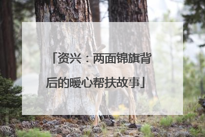 资兴：两面锦旗背后的暖心帮扶故事
