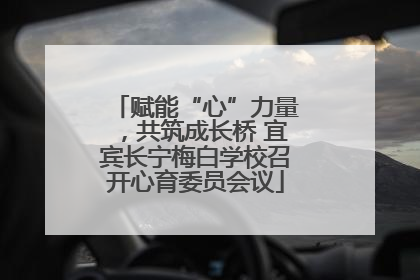 赋能“心”力量，共筑成长桥 宜宾长宁梅白学校召开心育委员会议